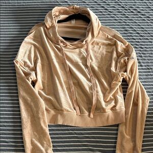 ALO Yoga Velvet Cropped Hoodie in Blush